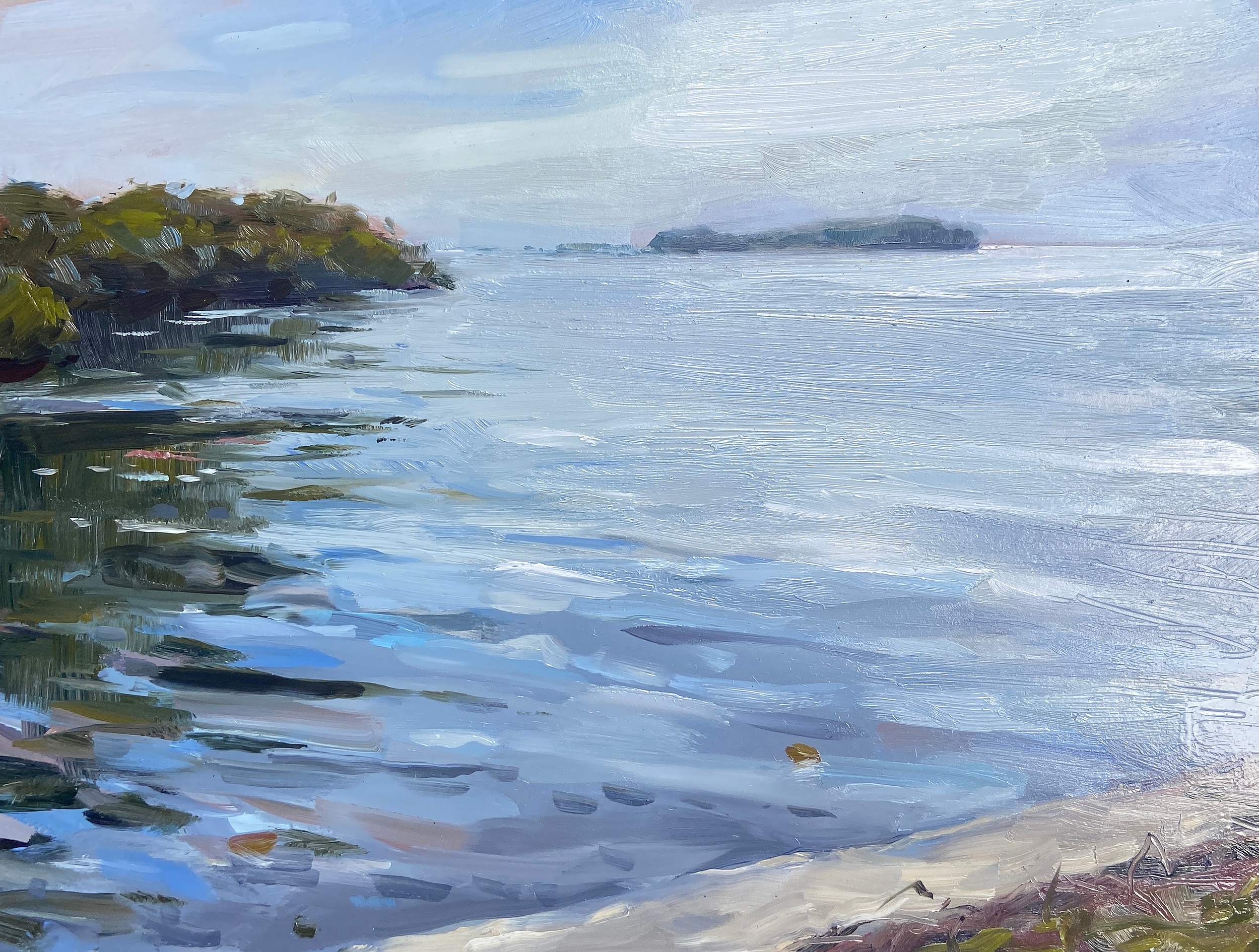 Manatees and Rustling Palms, 2021
9 x 12 in. Oil on Panel
Painted En Plein Air
Deering Estate at Culter - Miami, FL
$370